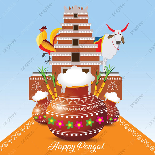 Pongal Wishes Illustration Vector Design Free Vector and PNG